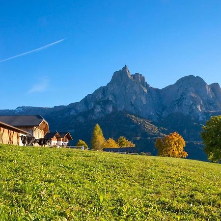 Treffhof Villa Siusi Exterior photo